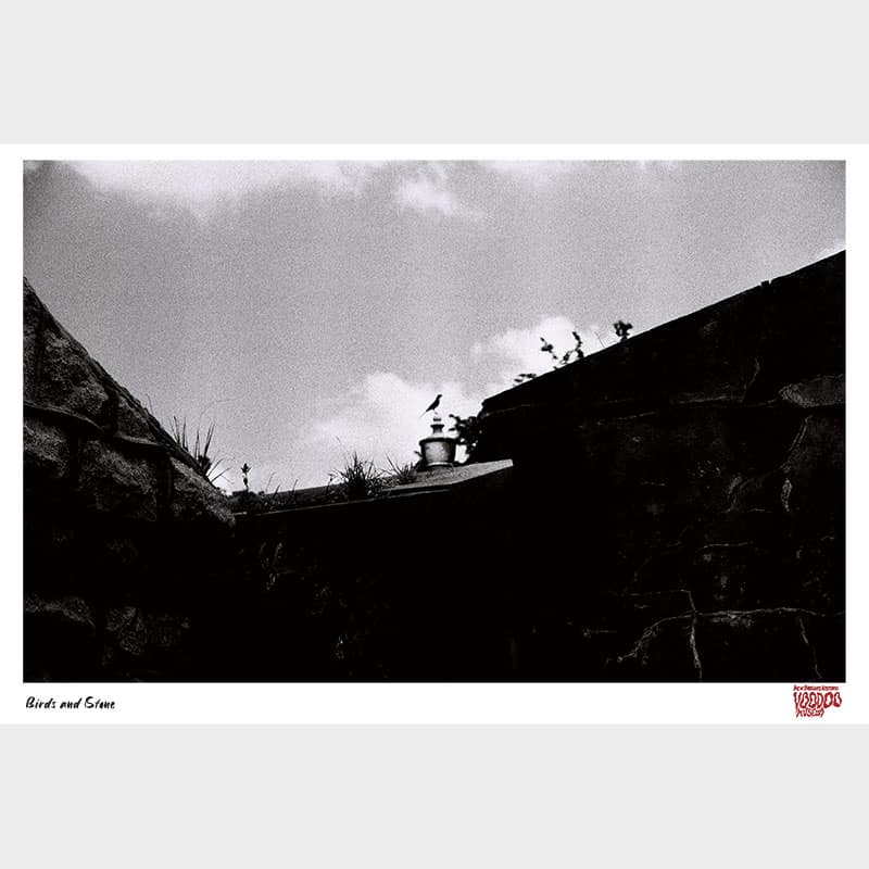 Birdsandstone Print.jpg